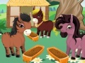 Παιχνίδι Princess' Ponies