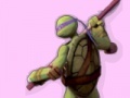 Παιχνίδι Ninja Turtles Colours Memory