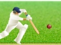 Παιχνίδι Cricket Defend the Wicket!