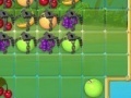 Παιχνίδι Collect fruit
