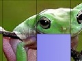 Παιχνίδι Frog Slide Puzzle