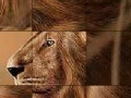 Παιχνίδι Big brave lion slide puzzle