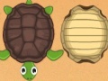 Παιχνίδι Guess the turtle