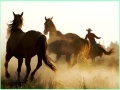 Παιχνίδι Cowboy Horses Sliding