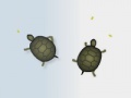 Παιχνίδι Turtles