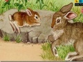 Παιχνίδι Rabbits at the farm puzzle 