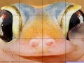 Παιχνίδι Pink frog slide puzzle