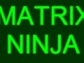 Παιχνίδι Matrix Ninja