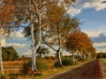 Παιχνίδι Russian Road