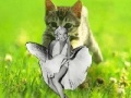 Παιχνίδι Kitty saevs the day!