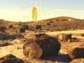 Παιχνίδι Treasure Hunt-Desert Forest