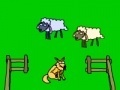 Παιχνίδι Sheep!
