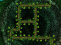Παιχνίδι Root Your Way