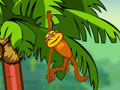 Παιχνίδι Spider Monkey