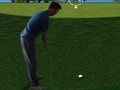 Παιχνίδι Flash Golf 3D