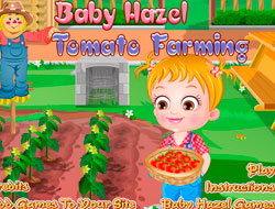 Μωρό Hazel. Γεωργία Ντομάτα