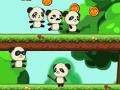 Παιχνίδι Panda Shock Troop 