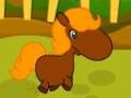 Παιχνίδι Pony Races