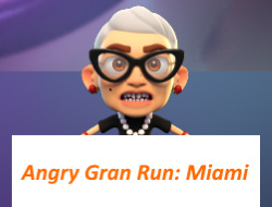 Θυμωμένος Gran Run: Μαϊάμι .