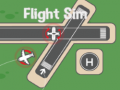Παιχνίδι Flight Sim