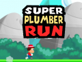 Παιχνίδι Super Plumber Run