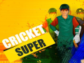 Παιχνίδι Super Cricket      