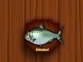 Παιχνίδι Amateur Action Super Fishing