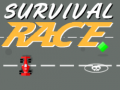 Παιχνίδι Survival Race