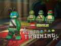 Παιχνίδι Teenage Mutant Ninja Turtles: Ninja Training