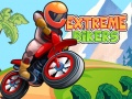 Παιχνίδι Extreme Bikers