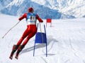 Παιχνίδι Slalom Ski Simulator