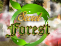 Παιχνίδι Secret Forest
