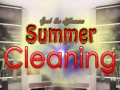 Παιχνίδι Spot The differences Summer Cleaning