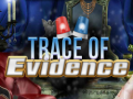 Παιχνίδι Trace of Evidence