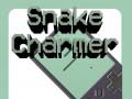Παιχνίδι Snake Charmer