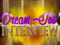 Παιχνίδι Dream Job Interview