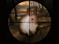 Παιχνίδι Classical Rabbit Sniper Hunting 2019