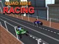 Παιχνίδι Quad Bike Racing