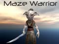 Παιχνίδι Maze Warrior