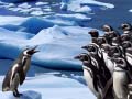 Παιχνίδι Penguins Slide