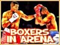 Παιχνίδι Boxers in Arena