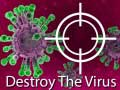 Παιχνίδι Destroy The Virus