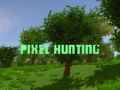 Παιχνίδι Pixel Hunting
