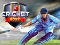 Παιχνίδι Cricket 2020