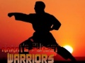 Παιχνίδι Karate Sunset Warriors