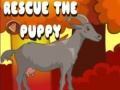 Παιχνίδι Rescue The Puppy