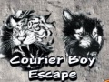 Παιχνίδι Courier Boy Escape