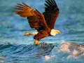 Παιχνίδι Animals Jigsaw Puzzle Eagle