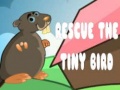Παιχνίδι Rescue The Tiny Bird