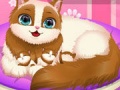 Παιχνίδι Cute Kitty Pregnant